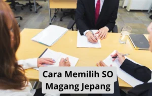 Cara Memilih SO Magang Jepang